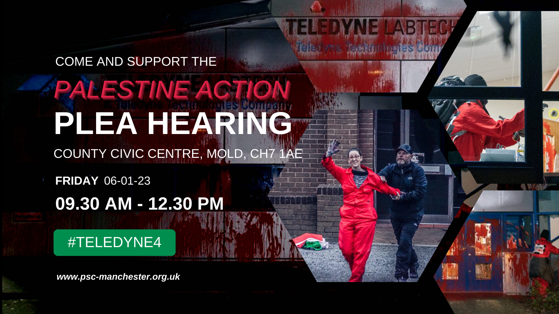 Support The Palestine Action Plea Hearing